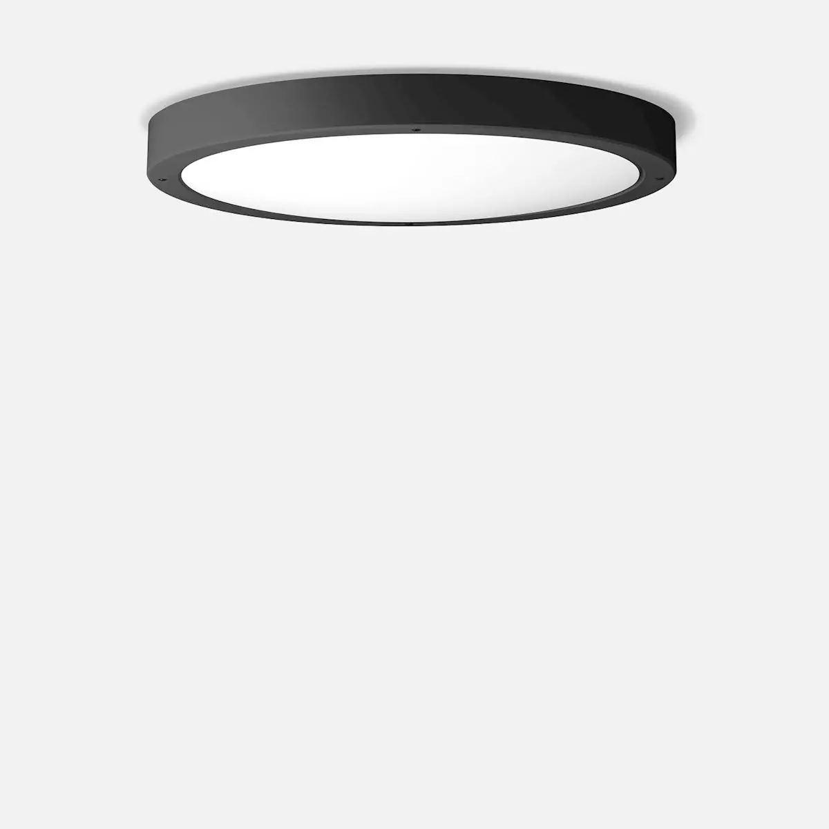 Bega 24 196 Ceiling And Wall Luminaire Instruction Manual Bega 24 196 Ceiling And Wall Luminaire Instruction Manual