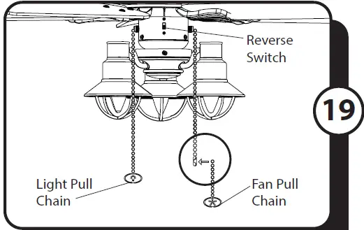 PROMINENCE HOME Sivan 52 Inch 50757 Ceiling Fan 24