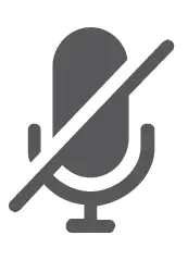 microphone Icon