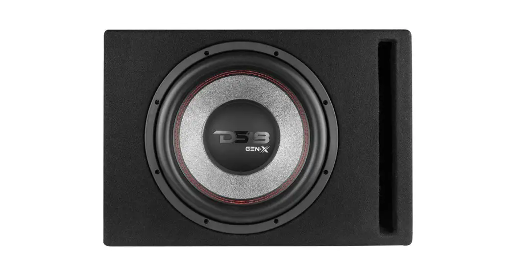 Ds18 Gen-x210ld Ported Enclosure With Dual Subwoofer Included Owner's Manual