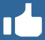 Like us icon 1