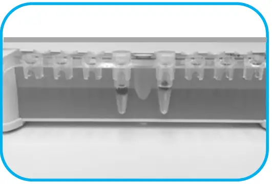 Magnetic rack handling procedure