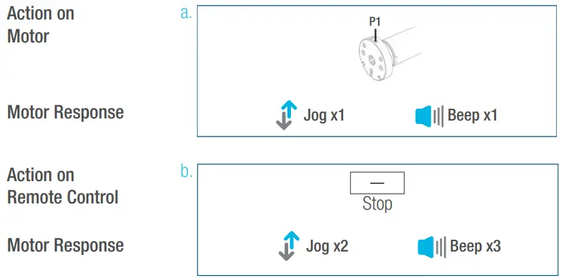 Lifestyle Solar Shades Motorized Roller Shades - Remote Control