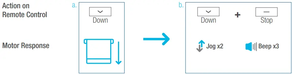 Lifestyle Solar Shades Motorized Roller Shades - Set Lower Limit