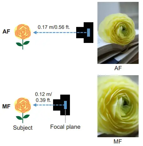 Canon RF-S 18-150mm F3.5-6.3 IS STM Lens Taking