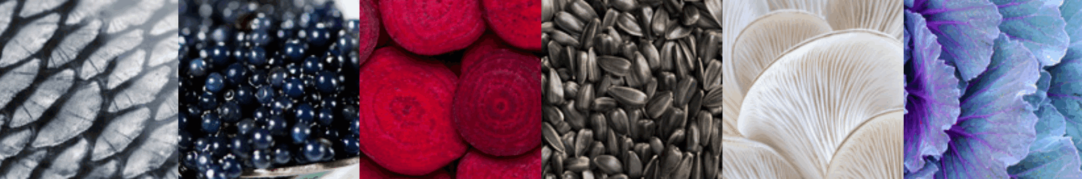 Steel AQ10SF-5FI-BA-B Ascot 100cm Gloss Black with Bronze Trim Induction Freestanding Cooker - fig