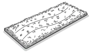 iRobot Braava jet m6 (6110) Wi-Fi Connected Robot Mop - Pad 2