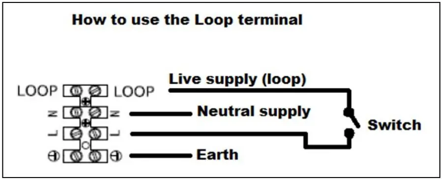 MFL 087150 Lunar 1 Light Flush Mount - fig