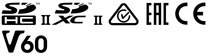 SONY-SF-Series-Memory-Card-fig-1