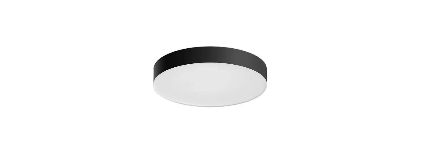 Philips 4115930p6 Hue Enrave M Ceiling Lamp User Manual
