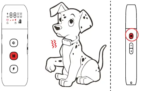 Hawpet-DT-64-Dog-Training-Collar-fig-10