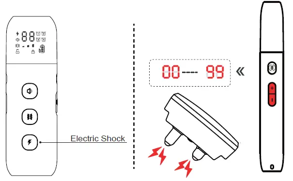 Hawpet-DT-64-Dog-Training-Collar-fig-11