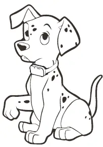 Hawpet-DT-64-Dog-Training-Collar-fig-20