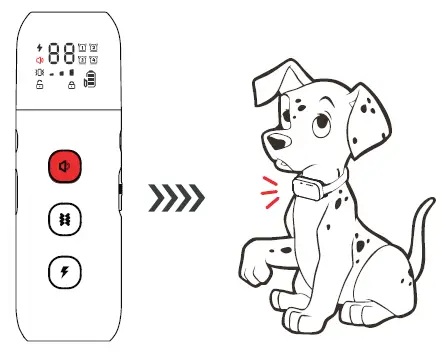 Hawpet-DT-64-Dog-Training-Collar-fig-9
