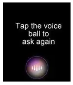Voice assistant
