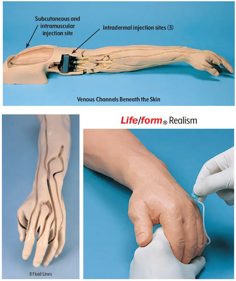 Nasco LF01121U Advanced Injection Arm - INTERNAL STRUCTURE