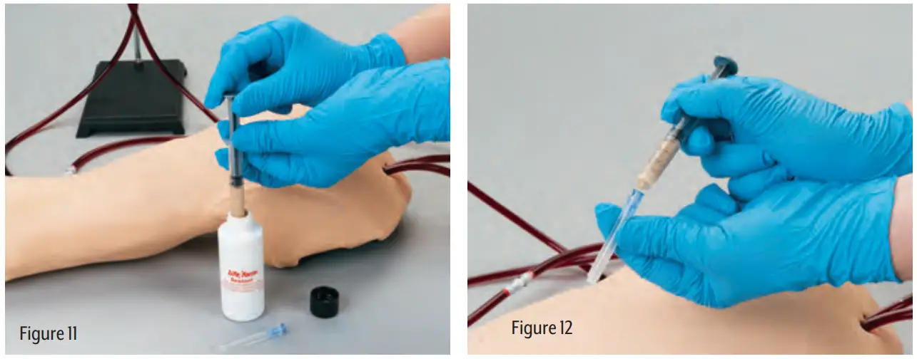 Nasco LF01121U Advanced Injection Arm - INTRADERMAL SITES