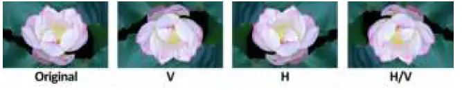 LILLIPUT-PVM210-21.5-Inch-Professional-Video-Monitor-fig-15