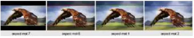 LILLIPUT-PVM210-21.5-Inch-Professional-Video-Monitor-fig-9