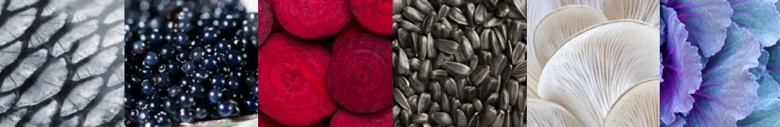 Steel-AQ10SF-5FI-BA-C-Ascot-100cm-Gloss-Black-with-Chrome-Trim-Induction-Freestanding-Cooker-fig-1