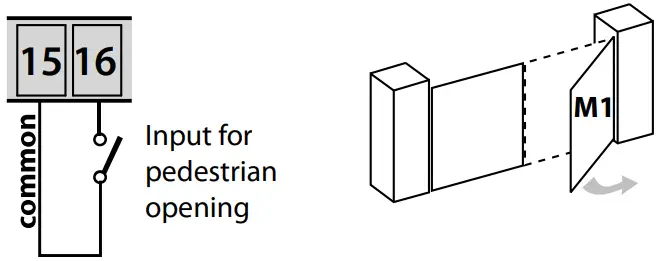 Meccanica Fadini Elpro 43 Fadini Electronic Board - Accessory16