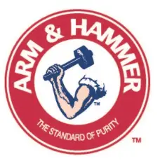 ARM HAMMER logo