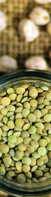 Rehydrating Dried Foods