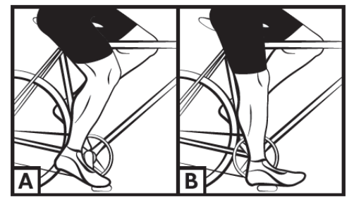 Wayscral EVERYWAY E-CARRIER Electric City Bike - fig4