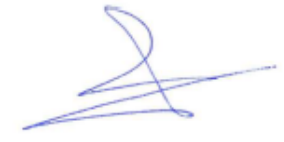 Wayscral EVERYWAY E-CARRIER Electric City Bike - signature