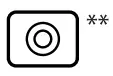 Button Icon