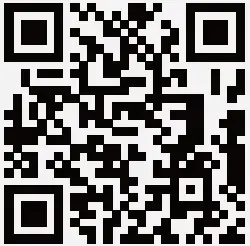 freebeat- Boom- Bike-Basic -02