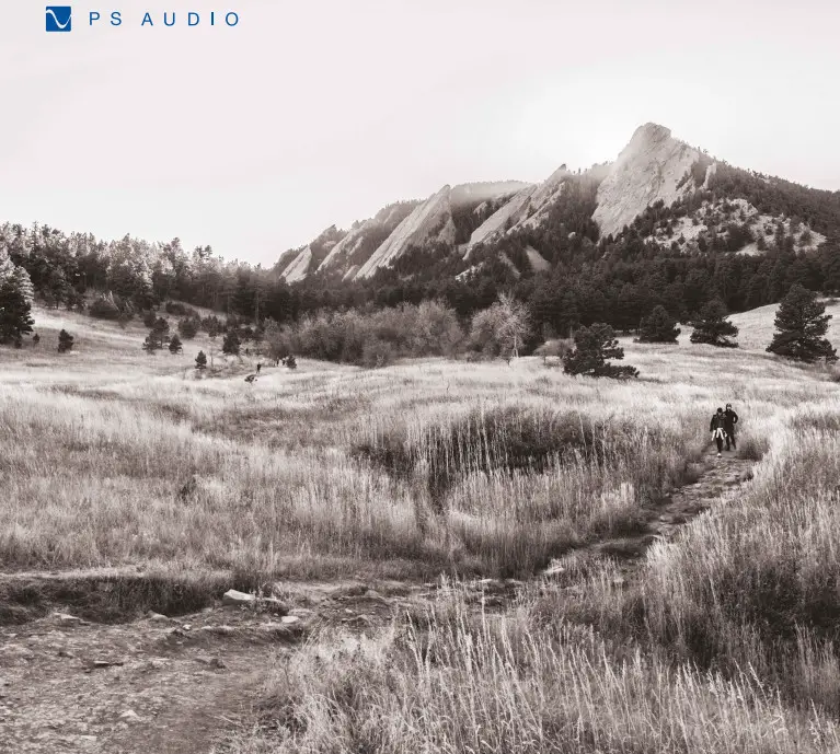 PS AUDIO Stellar S300 Stereo Amplifier - mount