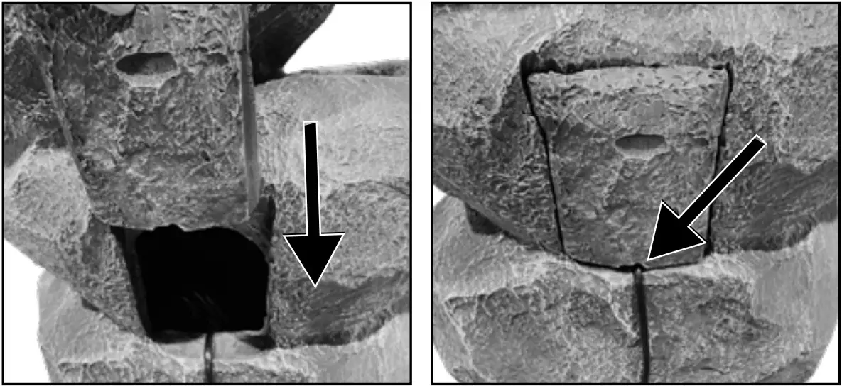 BERNINI 001359 Molina Corded Fountain - icon 9