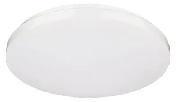 BEGA-50039-Ceiling-and-Wall-Luminaire-product