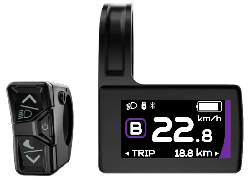 BAFANG DP C244.CAN Mounting Parameters Display