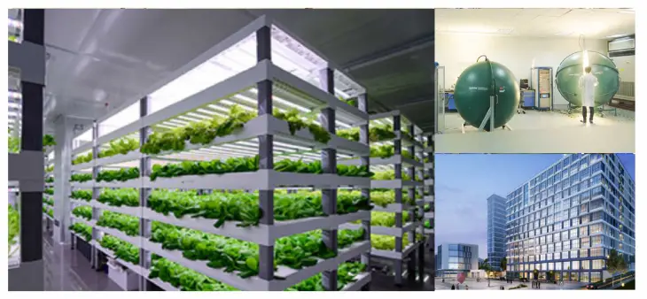 SPIDER FARMER LED Grow Light and Kits - cabol d1