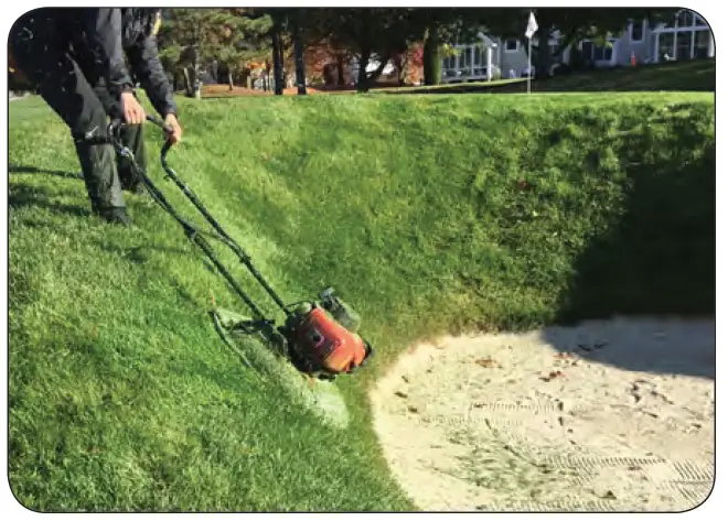 CALIFORNIA-TRIMMER-RC190-M800-19-Inch-Cutting-Swath-2