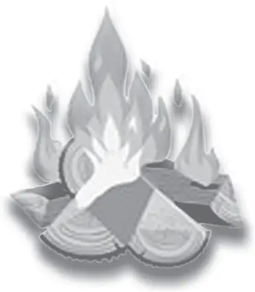 STOVAX Futura - CLEAN BURNING