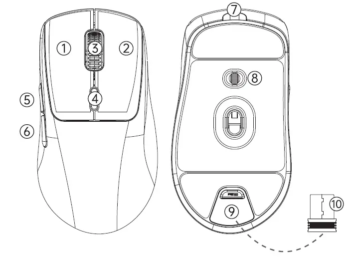 WAIZOWL-TRUSYO-Mouse-FIG-1