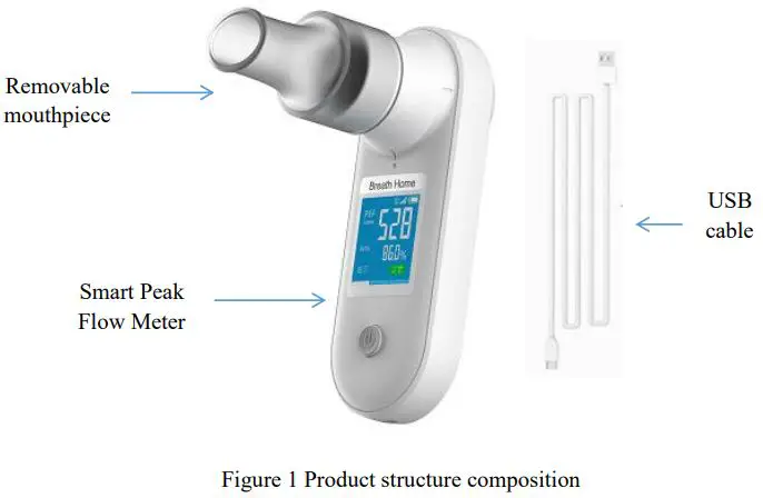 BreathHome-B300-Smart-Peak-Flow-Meter-fig-1