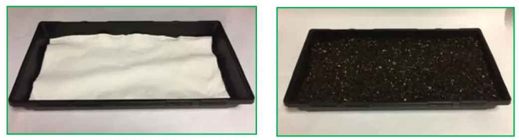 CARTER HOFFMANN GC52 GardenChef Herb and Microgreen Growing C iabinet -PLANTING TRAY