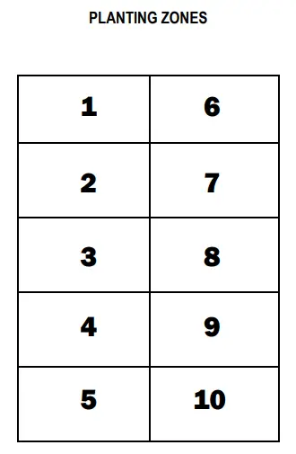 CARTER HOFFMANN GC52 GardenChef Herb and Microgreen Growing C iabinet - PROGRAMMING9