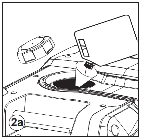 Add unleaded gasoline to gas tank