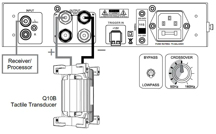 Earthquake Sound XJ-300ST Monoblock Class “J” Amplifier-FIG- (14)
