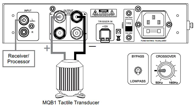 Earthquake Sound XJ-300ST Monoblock Class “J” Amplifier-FIG- (15)