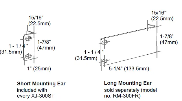Earthquake Sound XJ-300ST Monoblock Class “J” Amplifier-FIG- (22)