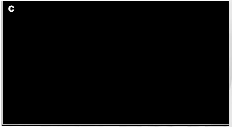 CENERAL 850-3 10 Inch Automated Deluxe Left Tilt Cabinet Saw - ELECTRICAL CONNECTIONS 21