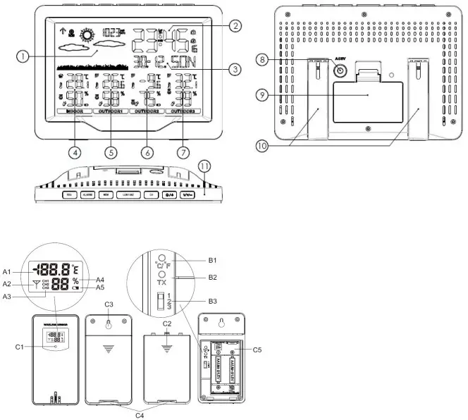 Appearance description