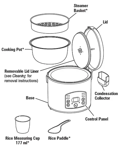 Hamilton-Beach-Rice-Cooker-Food-Steamer-fig- (1)