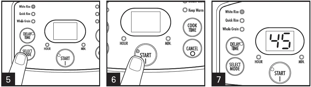 Hamilton-Beach-Rice-Cooker-Food-Steamer-fig- (3)